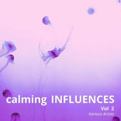 Calming Influences Vol 2 (2024) FLAC - Lounge, Chillout, Downtempo