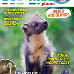 Eco Kids Planet Magazine - November 2024