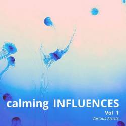 Calming Influences Vol 1 (2024) FLAC - Electronic, Lounge, Chillout, Downtempo