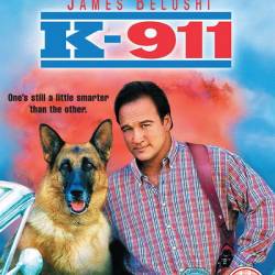 -911:   2 / K-911 (1999) HDRip-AVC