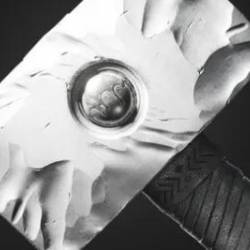 Intro To 3D Coat: From Noob To Cook