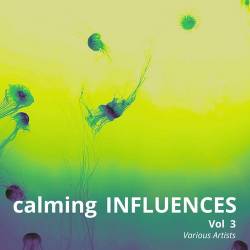 Calming Influences Vol. 3 (2024) FLAC - Electronic, Lounge, Chillout, Downtempo, Ambient