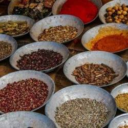 Udemy - Mysterious Journey To Spices