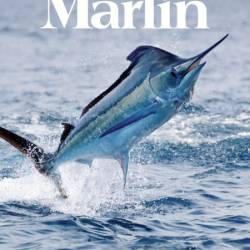 Marlin - January-February 2025