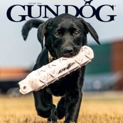 Gun Dog - March-April-May 2025