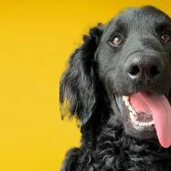 Hack The ACT English test