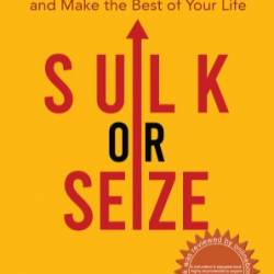 Sulk or Seize - RENA Venugopal