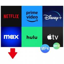 Pazu Streamget All-In-One Video Downloader 2.7.6 Multilingual