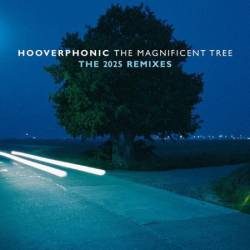 Hooverphonic - The Magnificent Tree-The (2025) Remixes (2025)