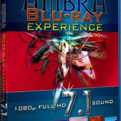  / Ambra Experience (2008) BDRip 720