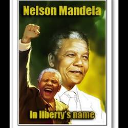  .    / Nelson Mandela. In liberty's name (2009) SATRip