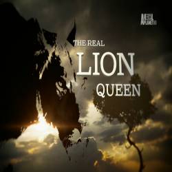 - / The Real Lion Queen (2013) HDTV 1080i