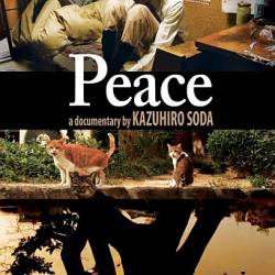  / Peace (2010) DVDRip