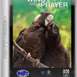        / On A Wing and A Prayer (2014) HDTVRip 720p