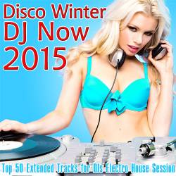 Disco Winter DJ Now 2015 (2015)