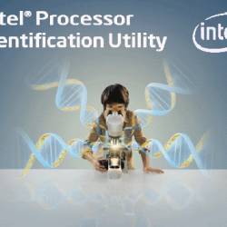 Intel Processor Identification Utility 5.30 Final + Portable
