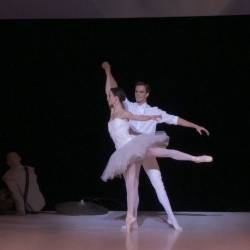     -   ,   - /Rui Lopes Graca - Don Quichotte ou L'Illusion Perdue - Opera National du Rhin Ballet/ (    -     - 2013) HDTVRip