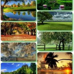 Beautiful Nature Wallpapers 173