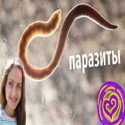 10 признаков того, что у вас паразиты. Как избавиться от паразитов? (2016) WEBRip