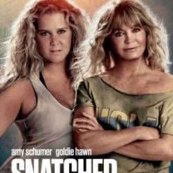     / Snatched (2017) HDRip