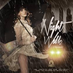 Night Walk (2018) Mp3