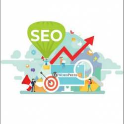 ������ SEO-����������� WordPress ��� ���������� ����������� � ��� (2020) PDF, MP4