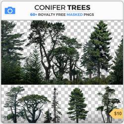 PHOTOBASH - CONIFER TREES