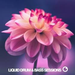 Liquid Drum & Bass Sessions: Vol 9 (2020) FLAC