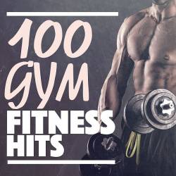 100 Gym Fitness Hits (2015) Mp3