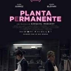  / Planta permanente (2019)