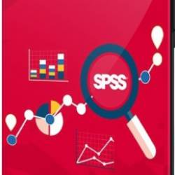   SPSS -      (2021) 