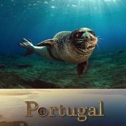 .      / Portugal - Wild Land on the Edge (2020) DVB