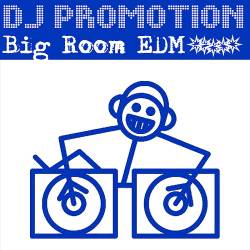 DJ Promotion CD Pool Big Room 487 (2022) - Club, Dance, House