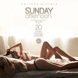 Sunday Afternoon Vol. 1 (20 Lovely Lounge Cookies) (2017) AAC - Lounge, Chillout, Downtempo