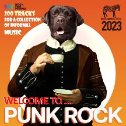 Welcome To Punk Rock (2023) - Punk Rock, Alternative