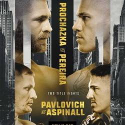 UFC 295: Иржи Прохазка – Алекс Перейра / Основной Кард / UFC 295: Prochazka vs Pereira / Main Card (2023) HDTVRip 720p