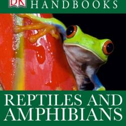 Reptiles & Amphibians: The Most Accessible Recognition Guide - Mark O'Shea