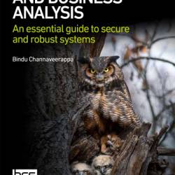 Cyber Security and Business Analysis: An essential guide to secure and robust systems - Bindu Channaveerappa