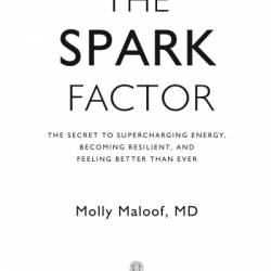 The Spark Factor: The Secret to Supercharging Energy, Becoming Resilient, and Feeling Better Than Ever - [AUDIOBOOK]