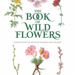 The Book of Wild Flowers: Color Plates of 250 Wild Flowers and Grasses - The National Geographic Society