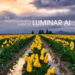 The Photographer's Guide to Luminar AI - Jeff Carlson