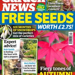 Garden News - 19 October 2024