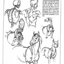 The Artist's Guide to Drawing Realistic Animals - makis k