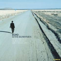 Echo And The Bunnymen - What Are You Going To Do With Your Life?  (2024)