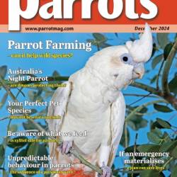 Parrots - December 2024