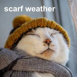 Scarf Weather (2024) - Pop, RnB, Soul