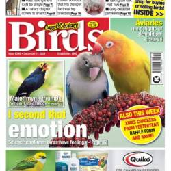 Cage & Aviary Birds - 11 December 2024