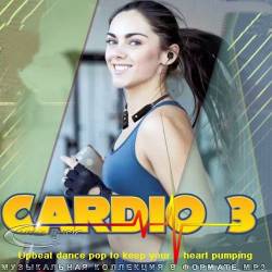 Cardio 3 (2024)