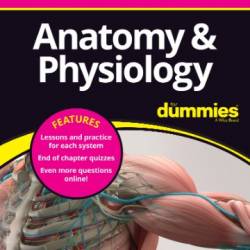 Anatomy & Physiology All-in-One For Dummies - Odya