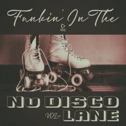 Funkin In The Nu Disco Lane Vol.03 (2025) FLAC - Disco